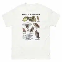Owls of Maryland t-shirt