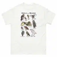 Owls of Maine t-shirt