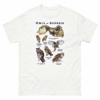 Owls of Georgia