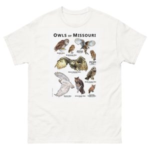 Owls of Missouri