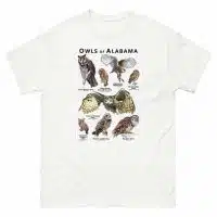 Owls of Alabama