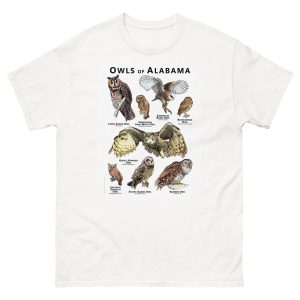 Owls of Alabama