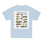 Sportfish of Minnesota - Youth classic tee - Image 9