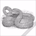 Aesculapian Snake - Signed Fine Art Print - Image 2