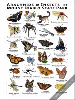 Arachnids & Insects of Mount Diablo State Park Poster Print - Image 2