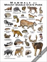 Mammals of Mount Diablo State Park Poster Print - Image 2