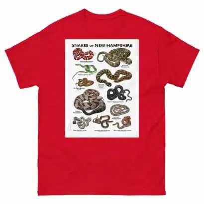 Snakes of New Hampshire - Unisex classic tee - Image 3