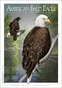 Poster design featuring a pair of American Bald Eagles
