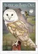 Poster design featuring a pair of Barn Owls