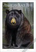 American Black Bear. Black bear poster