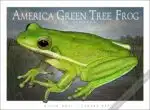 Poster design featuring of an American Green Tree Frog