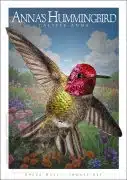 Poster design featuring of an Anna's Hummingbird