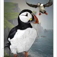 Poster design featuring a pair of Atlantic Puffins