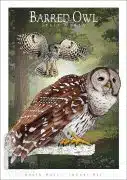 Poster design featuring a pair of Barred Owl