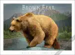 Brown Bear poster
