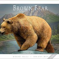 Brown Bear poster