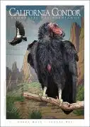 Poster design featuring a pair of California Condor