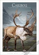 Caribou Poster Print
