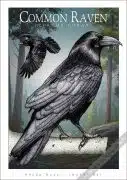 Poster design featuring a pair of Common Ravens