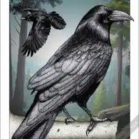 Poster design featuring a pair of Common Ravens