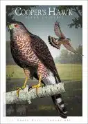Poster design featuring a pair of Cooper's Hawk