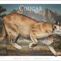 Poster design featuring a Mountain Lion or Cougar