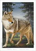 Poster design featuring a Coyote