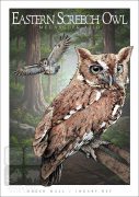 Poster design featuring a pair of Eastern Screech Owls