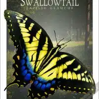 Poster design featuring of a Eastern Tiger Swallowtail