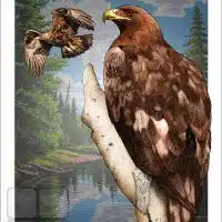 Poster design featuring a pair of Golden Eagles