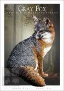Poster design featuring a Gray Fox