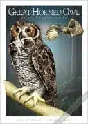 Poster design featuring a pair of Great-Horned Owls