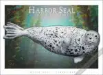 Poster design featuring of a Harbor Seal