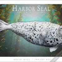 Poster design featuring of a Harbor Seal
