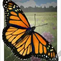 Poster design featuring of a Monarch Butterfly