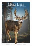Poster design featuring a Mule Deer