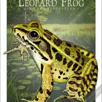 Poster design featuring of a Northern Leopard Frog