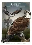 Poster design featuring a pair of Osprey