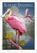 Poster design featuring a pair of Roseate Spoonbills