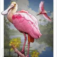 Poster design featuring a pair of Roseate Spoonbills