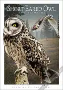 Poster design featuring a pair of Short-Eared Owls