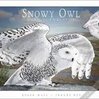 Poster design featuring a pair of Barred Owl