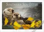 Poster design featuring of a Southern Sea Otter
