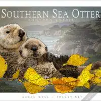 Poster design featuring of a Southern Sea Otter