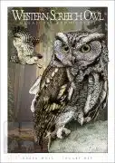 Poster design featuring a pair of Western Screech Owls
