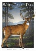 Poster design featuring a White-Tailed Deer