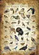 Wildlife of King Estate Open Space, Oakland poster