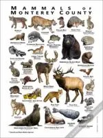 Mammals of Monterey County Poster - Image 2